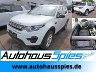 Land Rover Discovery Sport 2.0 eD4 Pure Nav Shz EU6 - Heilbronn