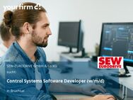 Control Systems Software Developer (w/m/d) - Bruchsal