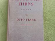 Die Stadt des Hirns Roman von Otto Flake - Kassel