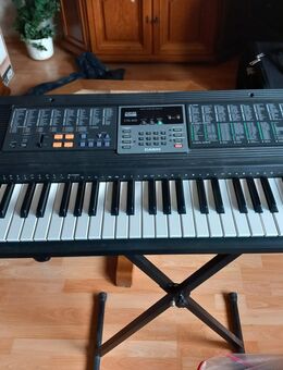 Keyboard Casio - Bockhorn (Niedersachsen)