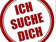 Suche Reiterin! Tg ! :) (Geld) (AKTUALISIERT!) - Hamm