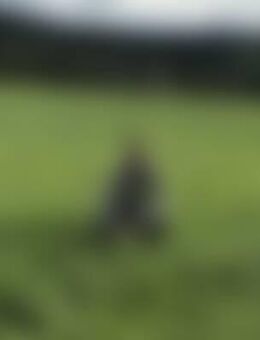 Adr*** - Amt Neuhaus