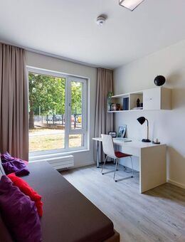 DIE ZIMMEREI | All inclusive: möbliertes Apartment im Bornstedter Feld | Bigger Bude - Potsdam