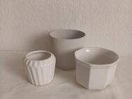 3 kleine Blumenübertöpfen weiß Blumentopf Porzellan und Keramik als Set - Essen