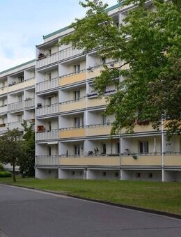 Wir sanieren für Sie! - Cottbus