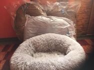 TIER PLÜSCH DONUT 70 CM *GRAU & BRAUN *NEU* ODER KUSCHELKISSEN - Großostheim