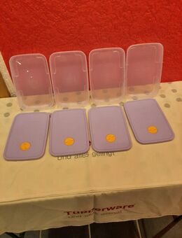 4 Kühlschrank Behälter Tupperware - Büdingen