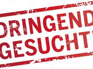 Suchen 12 Wochen alte Katze – am liebsten hell getigert - Mansfeld