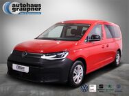 VW Caddy, 2.0 TDI Maxi, Jahr 2021 - Brandis