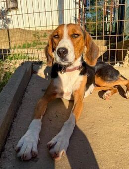 Ofelia möchte viel von der Welt sehen - Schwabach