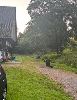 Paar Tage ausklinken im Wald auf dem Hof - Wolfach