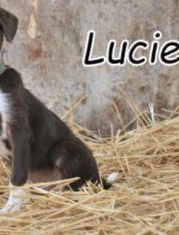Lucie möchte dein ❤️ erobern - Essingen (Rheinland-Pfalz)