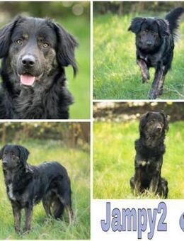 JAMPY2 * sportlicher Schmuser - Duisburg