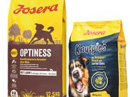Josera Kombi-Paket: 12,5 kg Adult Trockenfutter + 3 x 900 g Knuspersnacks - Optiness 12,5 kg + Knuspies 3 x 900 g