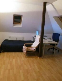 Lichtdurchflutetes 1,5-R-DG-Mais.-Appartment mit off. EBK in DD-Trachenberge - Dresden