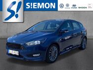 Ford Focus, 1.5 EcoBoost ST-Line U, Jahr 2017 - Warendorf