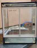 2 X 1a Terrarien in 37120