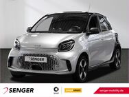 smart EQ forfour, Passion Lader, Jahr 2021 - Beckum