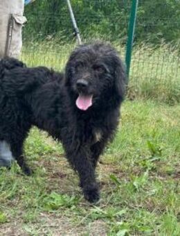 Liam möchte entdeckt werden - Nordwalde