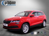 Skoda Karoq, 2.0 TDI Clever, Jahr 2021 - Brandis