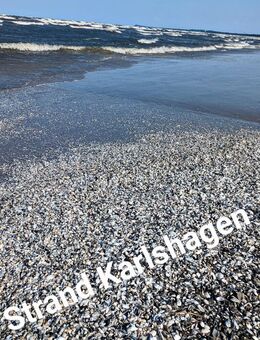 Sie suchen eine Ferienwohnung auf der Insel Usedom? Wir haben sie und das dann 250 m von der Ostseestrand entfernt. - Karlshagen