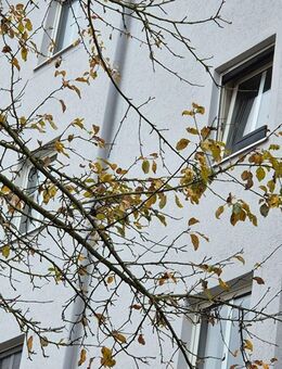 Helle 2-Zimmer Wohnung im 2. OG im Kasernenviertel - Regensburg