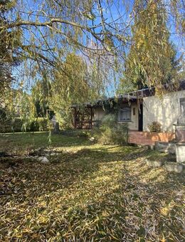 Urlaubsfeeling im eigenen Garten - Sondershausen