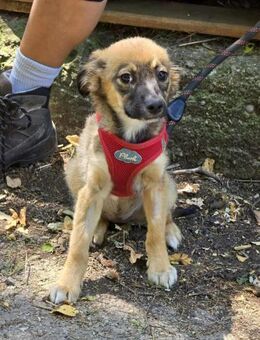 PAMELA ist offen + voller Vertrauen ♥️ - München