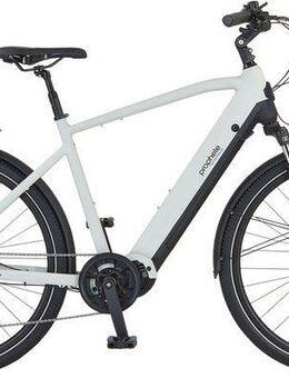 Prophete E-Bike Trekkingrad Entdecker 5.0, 10 Gang Shimano Deore Schaltwerk, Kettenschaltung, Mittelmotor, 720 Wh