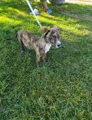 TOVO - viel Spaß gemeinsam erleben in 51491