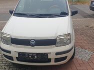 Fiat Panda - Neulußheim