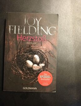 Herzstoß von Joy Fielding (2013, Taschenbuch) - Essen