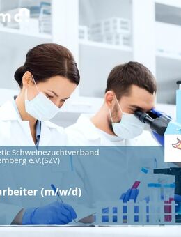 Labormitarbeiter (m/w/d) - Ilsfeld