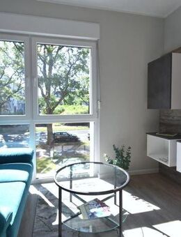 Schönes 1-Zimmer-Apartment, renoviert & vollständig ausgestattet - zentrale Lage in Aschaffenburg - Aschaffenburg