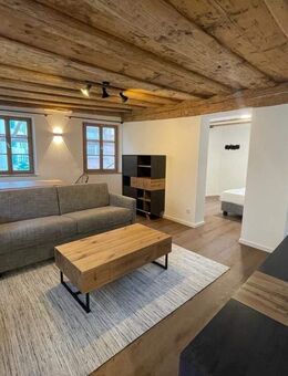 Vollmöblierte 2 Zi. Wohnung mit Balkon in St. Sebald - Nürnberg