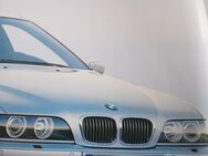 BMW 520/525/530 Lim+Touring: neue, Original-Frontziergitter - Frankfurt (Main) Griesheim