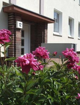 1-Raum Wohnung /31 m² / Stadtfeld West - Magdeburg