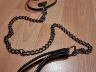 Halsband mit Leine - Nürnberg