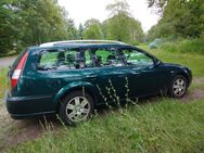 Ford Mondeo Kombi - Heideblick