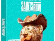 PC Saints Row Notorious Edition PC