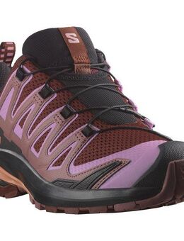 Salomon XA PRO 3D V9 Trailrunningschuh