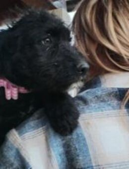 Amilie bringt Leben ins Haus - München