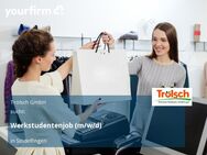 Werkstudentenjob (m/w/d) - Sindelfingen