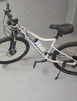 Fahrrad Jynx Specialized - Korbach (Hansestadt)