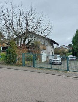 Einfamilienhaus mit Einliegerwohnung in Otzberg - Otzberg