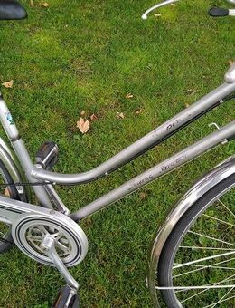 CH Velo Alpina Oldi 28Zoll 5Gang Rarität - Volketswil