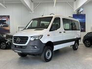 Mercedes Sprinter, 319 Kasten L2H1 2xSTHZ 2SCHIEBE, Jahr 2023 - Wuppertal