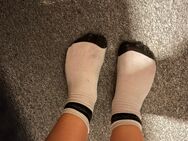 2 Tage getragene intensiv riechende Socken - Breitungen (Werra)