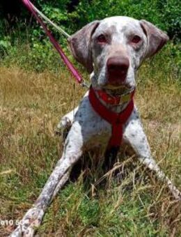 ELOISE❤️ sanfte Prinzessin auf der Suche - Fahrenzhausen