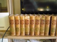 Meyers Konversationslexikon Band 1 - 19 von 1897 Originale 5te Auflage - Leipzig
